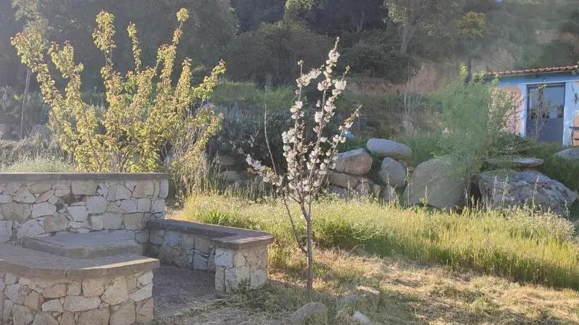 ２ベッドルームアパートメント, Il Nuraghe