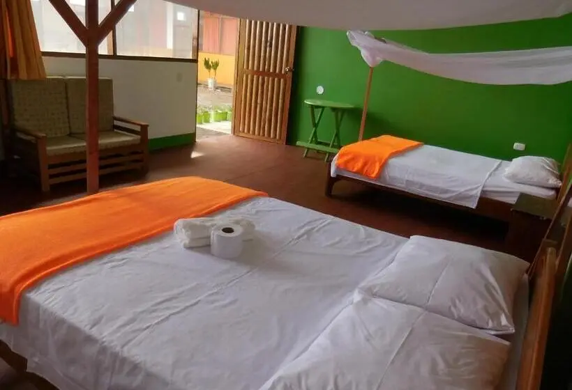 スタンダードルーム, Tambopata Hostel