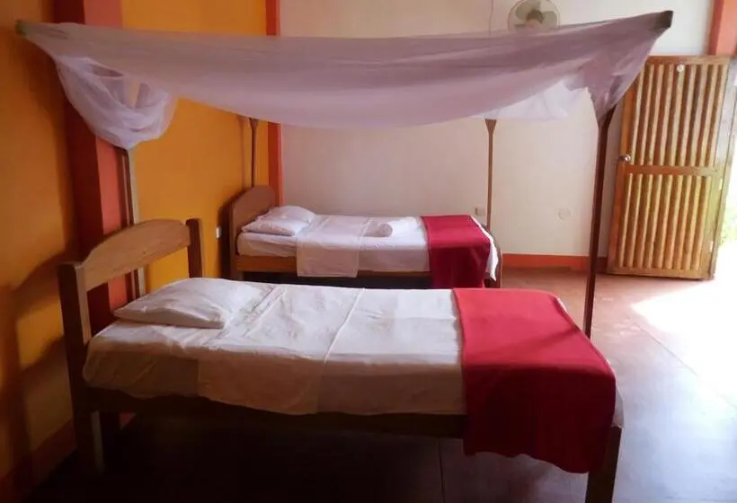 スタンダードルーム, Tambopata Hostel
