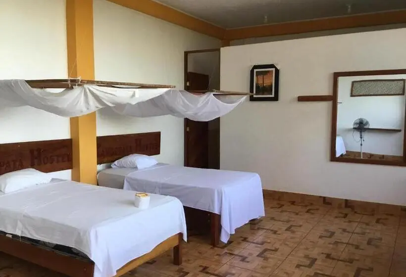 スタンダードルーム, Tambopata Hostel