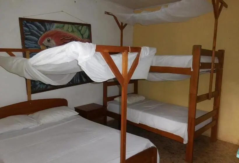 バス共有のスタンダードルーム, Tambopata Hostel