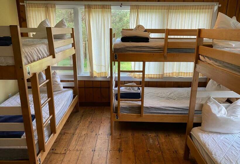 سرير فى غرفة مشتركه, Hi Martha S Vineyard   Hostel