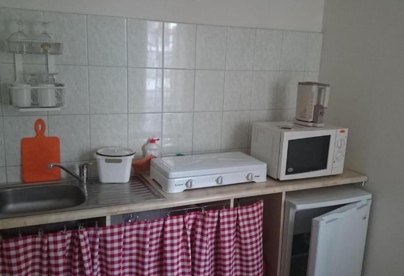 اتاق سوپریور, Senoji Vaistine