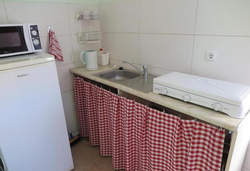 Standard Triple Room with Terrace, Senoji Vaistine