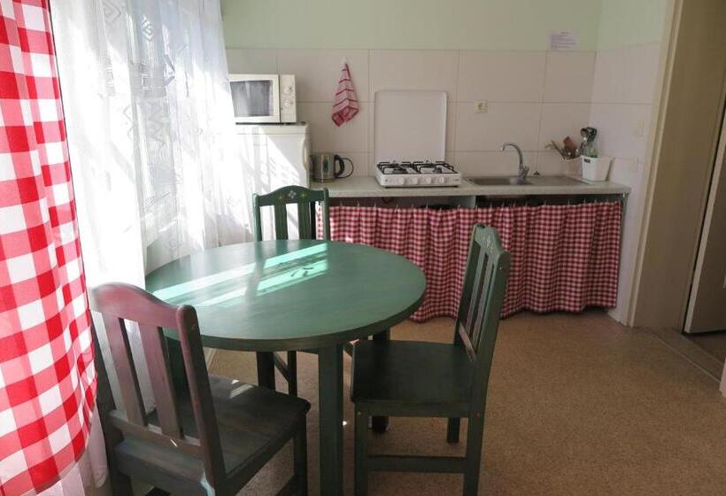 Superior Room with Terrace, Senoji Vaistine