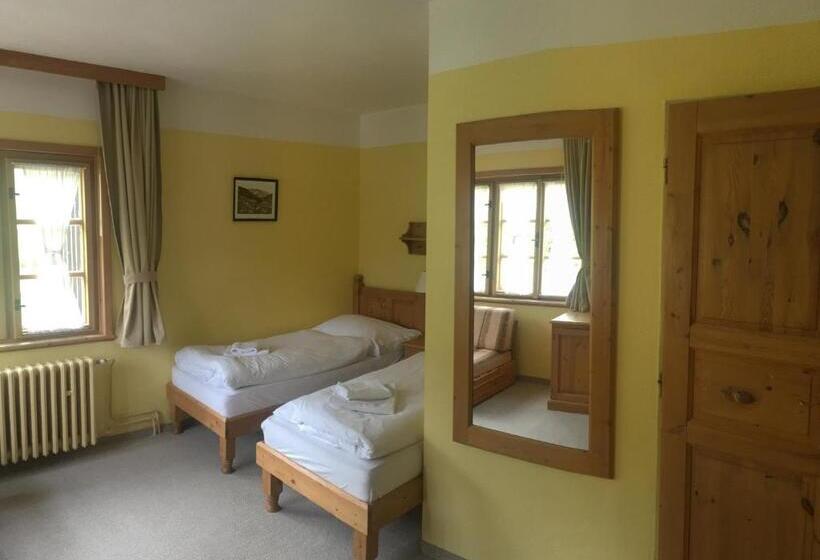 Номер Стандарт, Alpský