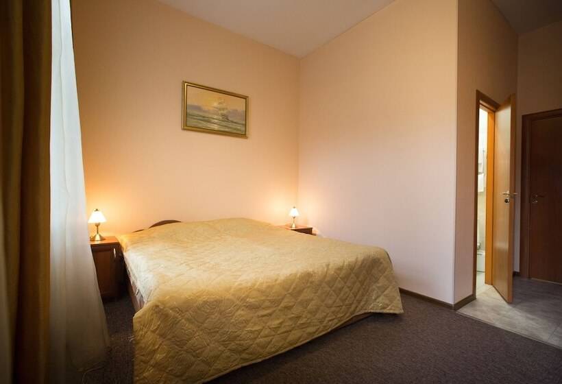 اتاق استاندارد, Bolshoy 19 Mini