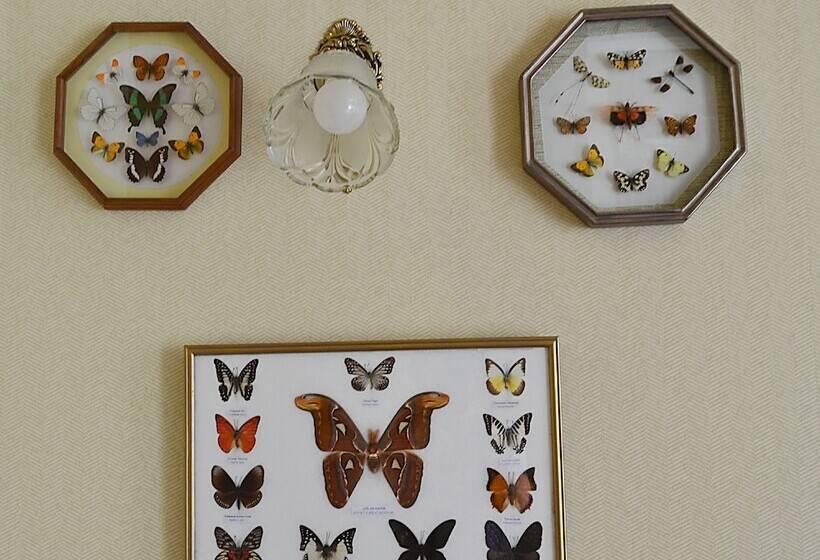 Standard Kolmen Hengen Huone, Comfort On Chekhova