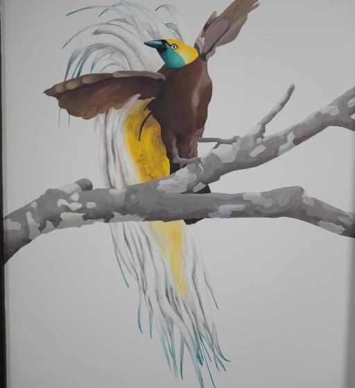 سوییت جونیور, Cordoba Carpe Diem