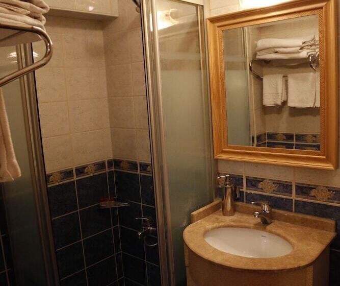 スタンダードシングルルーム, Grand Hisar