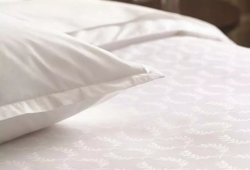 اتاق لوکس با تخت بزرگ, Sheraton Grand Adana