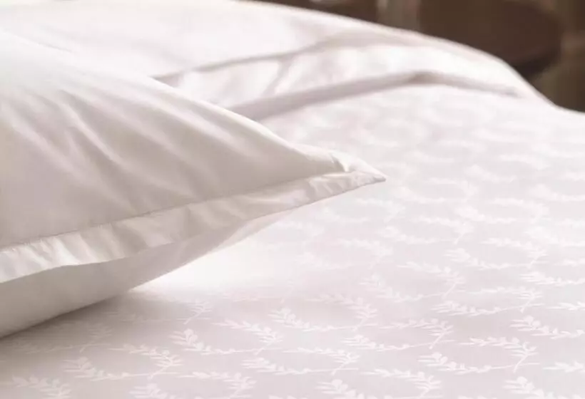 اتاق کلاسیک با تخت دونفره, Sheraton Grand Adana