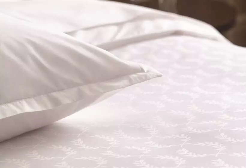 اتاق کلاب, Sheraton Grand Adana