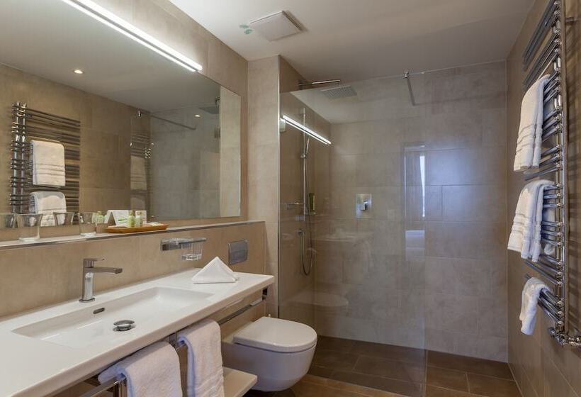 Номер Стандарт Вид на Озеро, Waldhaus Am See