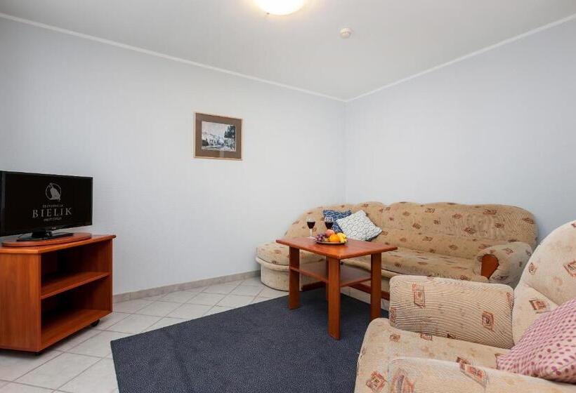 شقة غرفة نوم واحدة مزودة بشُرفة, Rezydencja Bielik