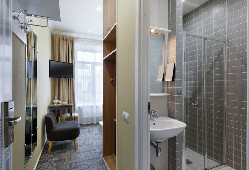 اتاق استاندارد یک نفره, Statskij Sovetnik Hotel Zagorodnyy