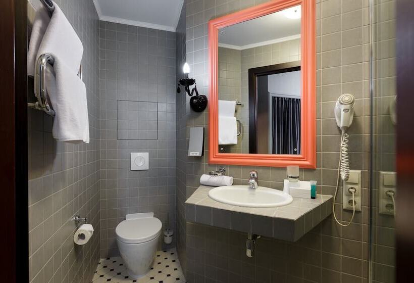 اتاق استاندارد, Statskij Sovetnik Hotel Zagorodnyy