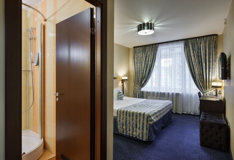 اتاق استاندارد, Statskij Sovetnik Hotel Zagorodnyy