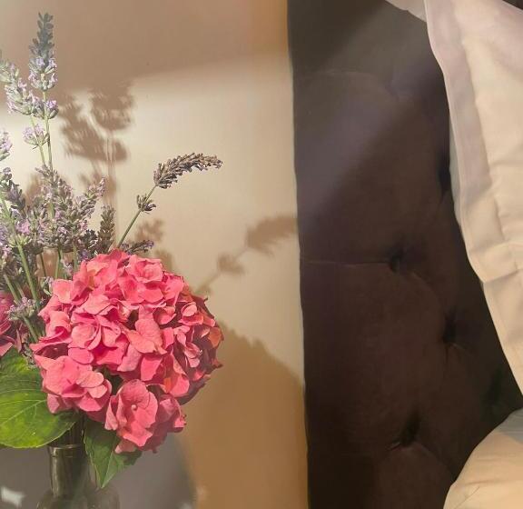 اتاق لوکس, La Maison Du Clocher