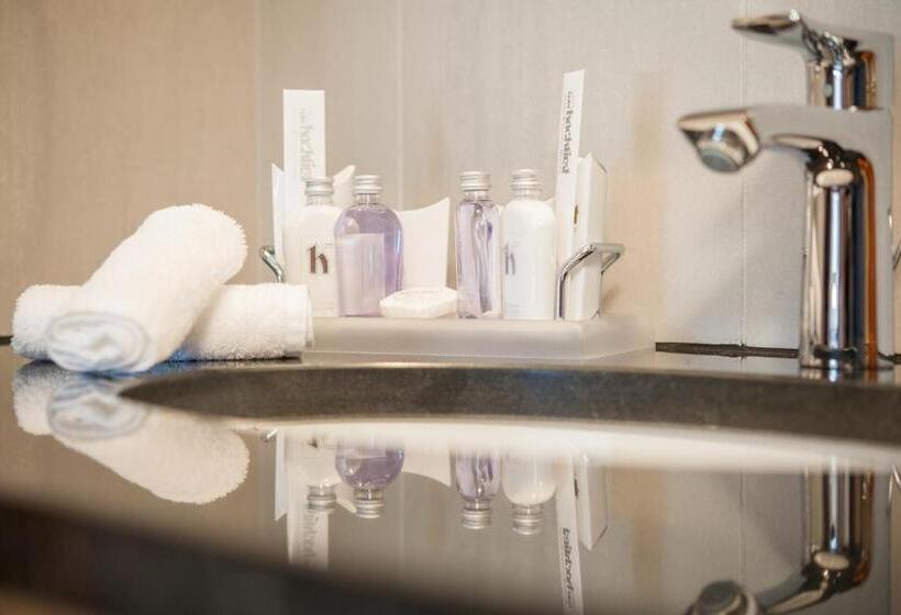 パノラミックビュースタンダードルーム, Alpen Wellness Resort Hochfirst