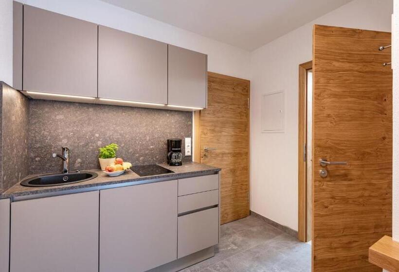 סטודיו סטנדרט עם מרפסת, Pension Gieringer