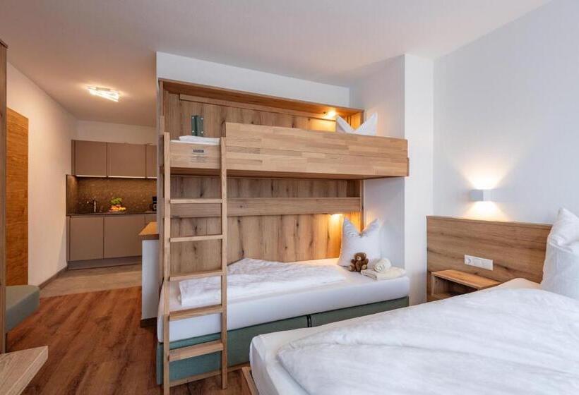 סטודיו סטנדרט עם מרפסת, Pension Gieringer