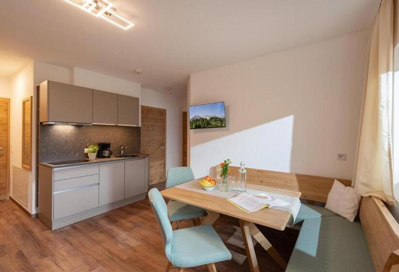 Апартаменты 1 Спальня с Видом, Pension Gieringer