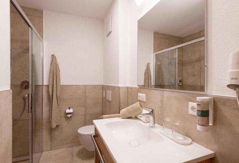 Апартаменты 1 Спальня с Видом, Pension Gieringer