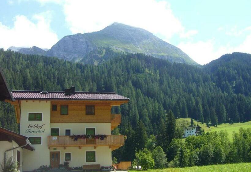 带1个卧室带观景的公寓, Erbhof Innertal