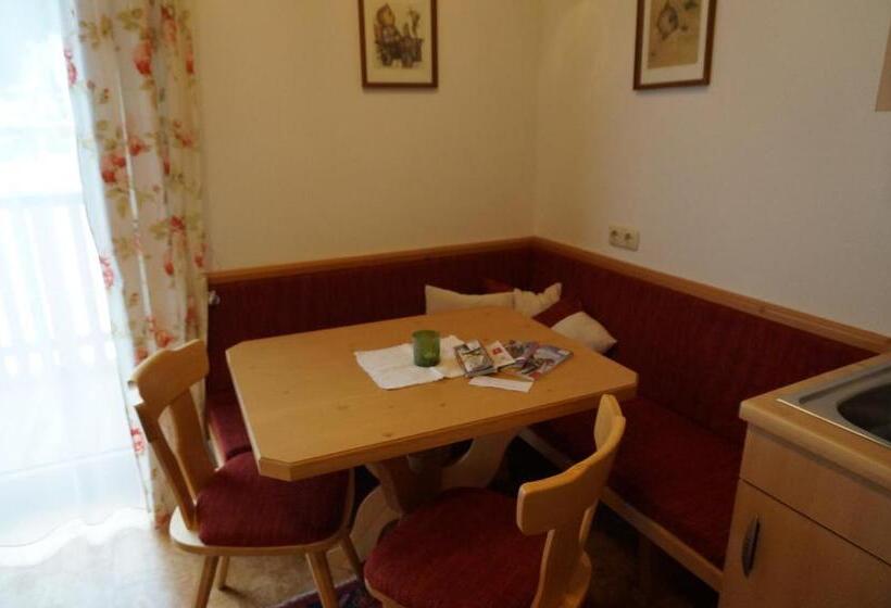 带1个卧室带观景的公寓, Erbhof Innertal