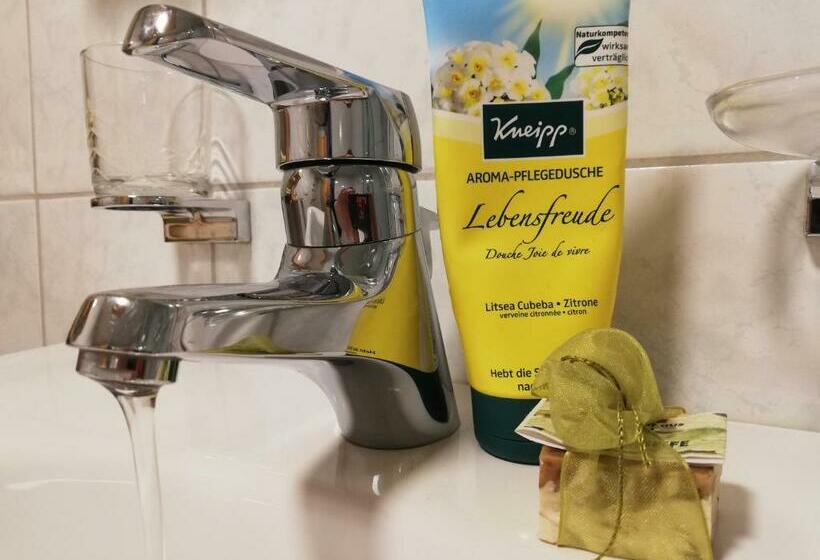 带1个卧室的公寓, Grenerhof