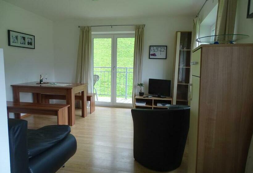 شقة غرفة واحدة, Apart Tyrol