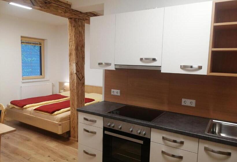 스탠다드 발코니 스튜디오, Ferienhof Gindl Und Gästehaus Gindl