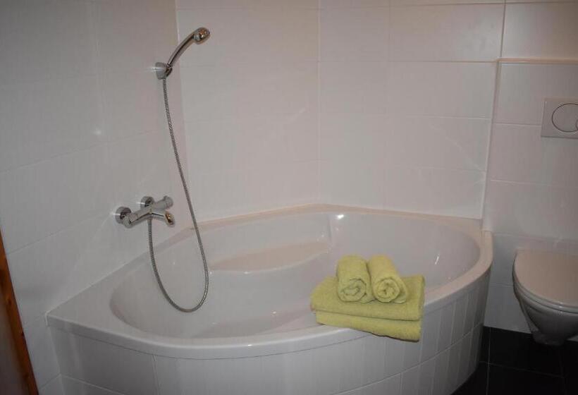 １ベッドルームペントハウスアパート, Kleißl