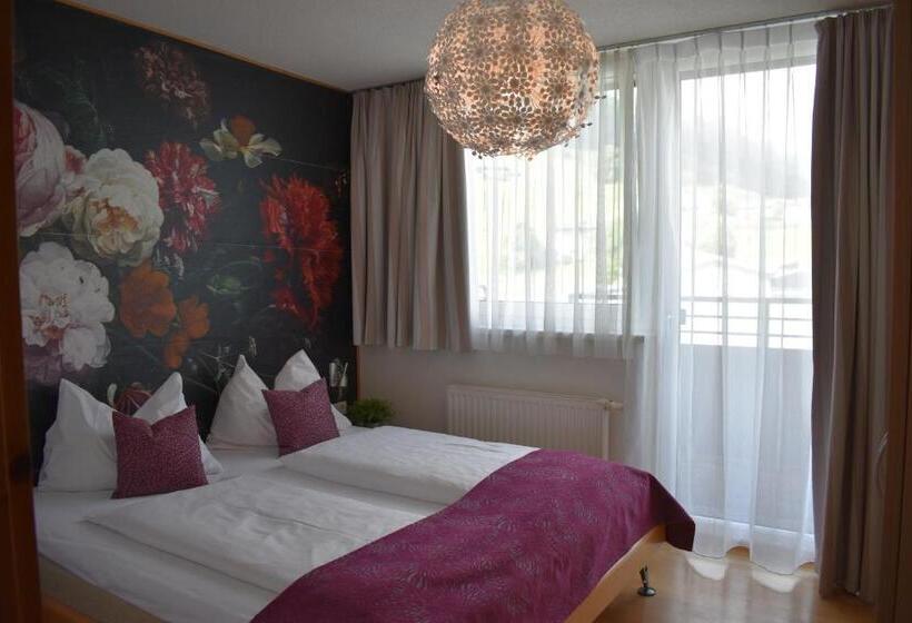 １ベッドルームペントハウスアパート, Kleißl