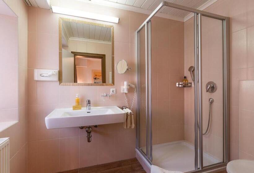 기본룸, Walchseer Hof