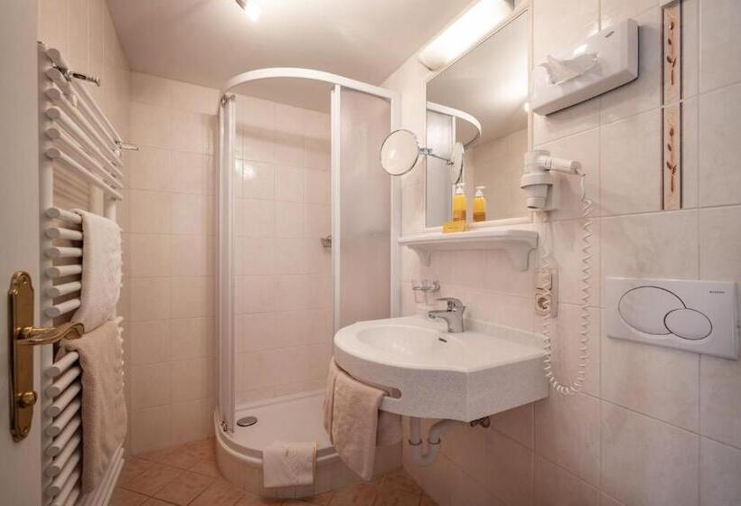 기본룸, Walchseer Hof