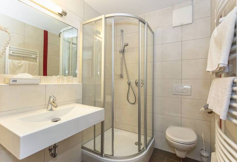 חדר סטנדרט, Wenger Alpenhof