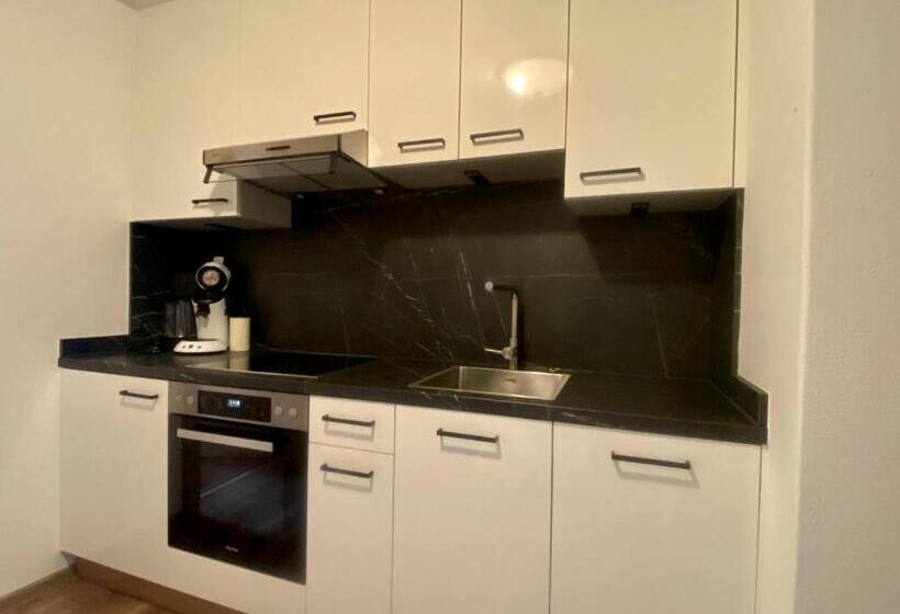 带1个卧室带观景的公寓, Landhaus Marchfeld