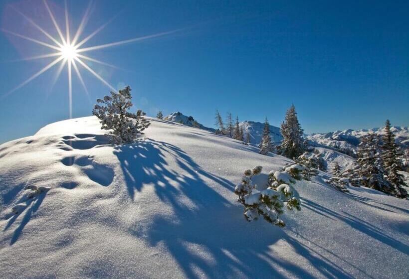 バルコニー付きスタンダードルーム, Oberrainbauer