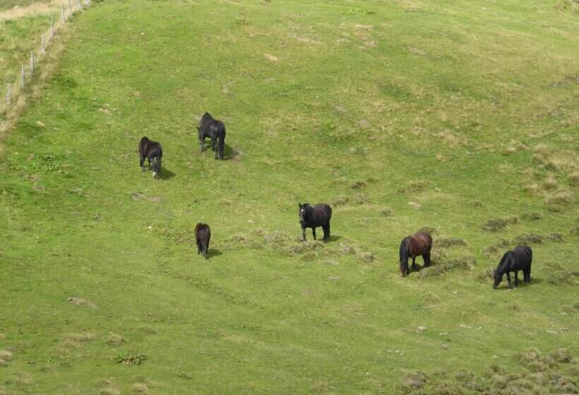 ファミリーステューディオ, Oberrainbauer