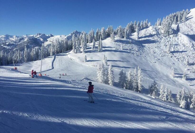 バルコニー付き1ベッドルームアパートメント, Oberrainbauer