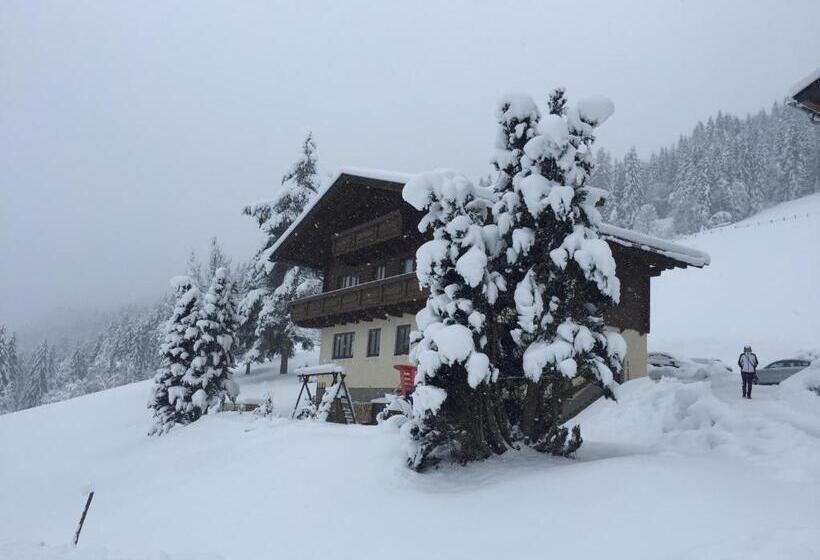 バルコニー付き1ベッドルームアパートメント, Oberrainbauer