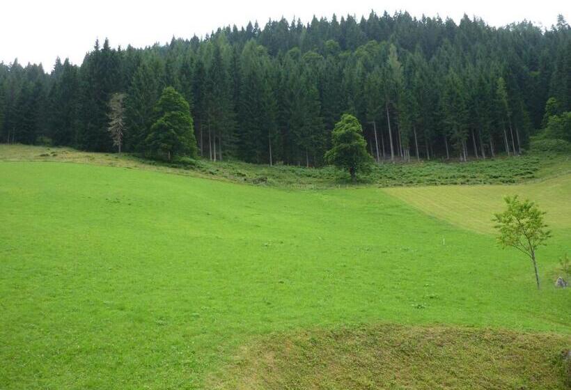 バルコニー付き1ベッドルームアパートメント, Oberrainbauer