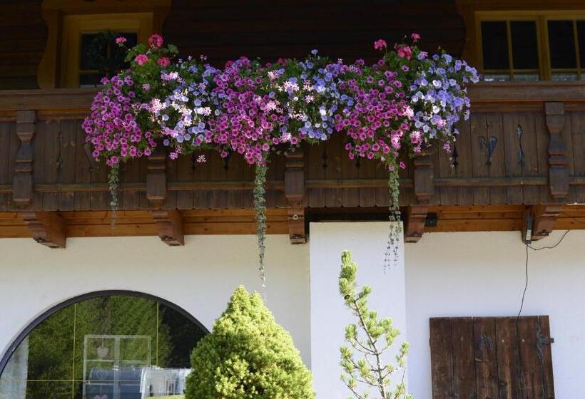 شقة غرفة نوم واحدة مزودة بشُرفة, Gasthof Enzian