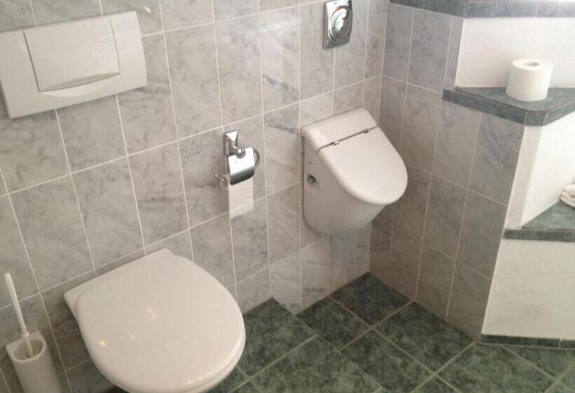 Апартаменты 1 Спальня с Балконом, Gasthof Enzian