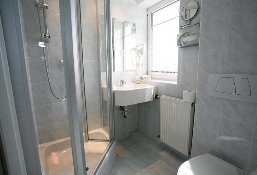 חדר סטנדרט נוף לאגם, Seehotel Hoffmann