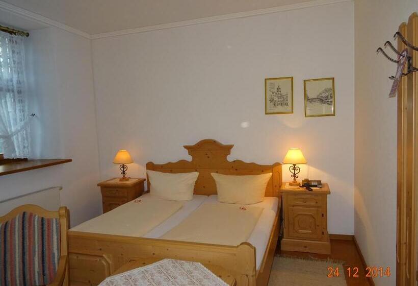 غرفة قياسية, Wasserstelz Historisches Genusshotel & Restaurant Am Rhein