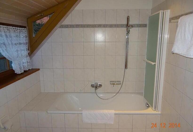 غرفة قياسية, Wasserstelz Historisches Genusshotel & Restaurant Am Rhein