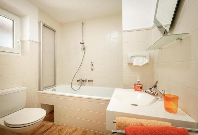 コンフォートルーム, Pension Edelweiss